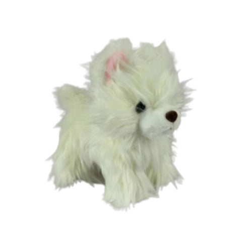 SOFT TOYS | CTY-SFTYS-011 (Small)